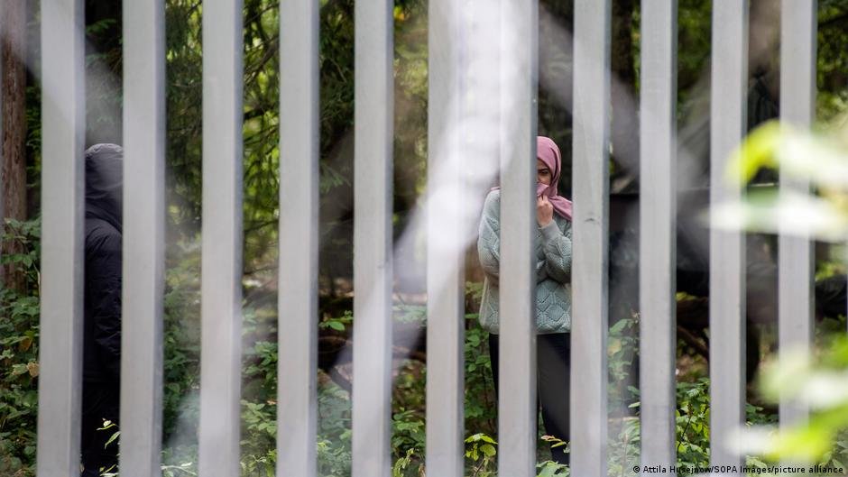 1764272866 70478668 6