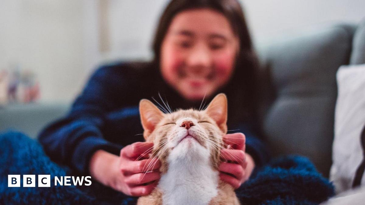 1764332177 c8bb1440 ca0b 11f0 86af 23a21b51892f