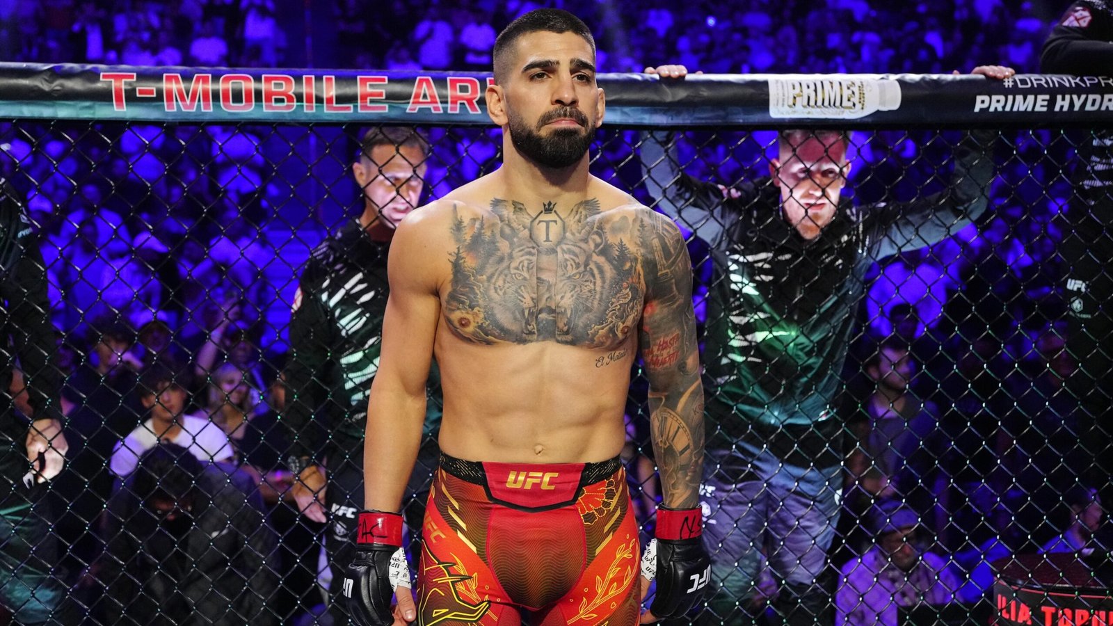 2222692347 large cropped 0