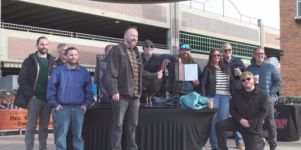 3XHSXGPA2VCBLGER3SXMFOA2DQ