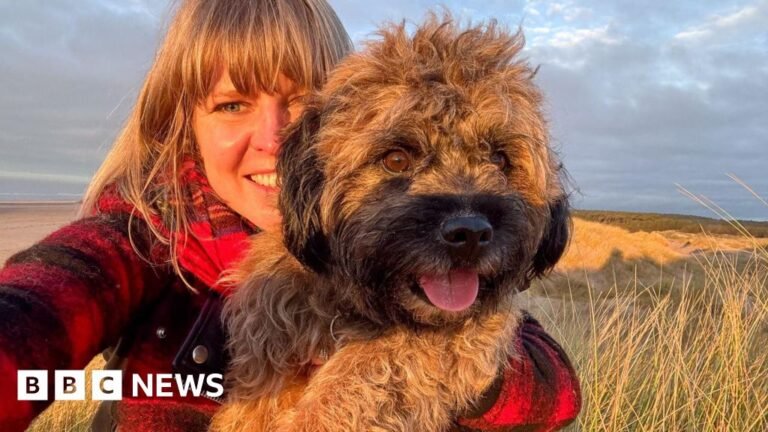 3be79930 bff2 11f0 9c0c 65b4fe15616b