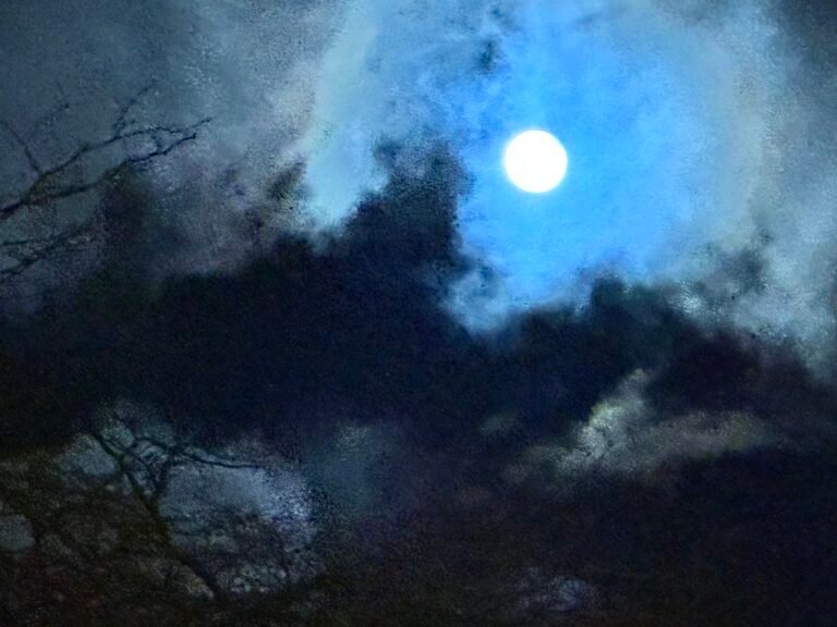 54905274610 7b1ac67de2 b