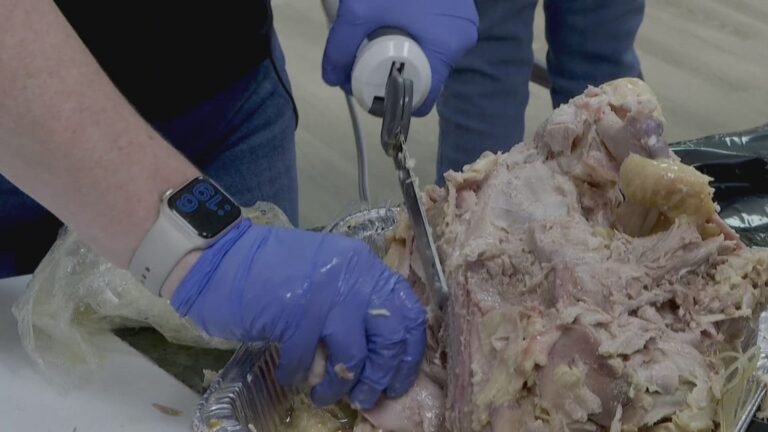 5d4909ac 628d 4fb4 ae3d f59124206f53 1140x641