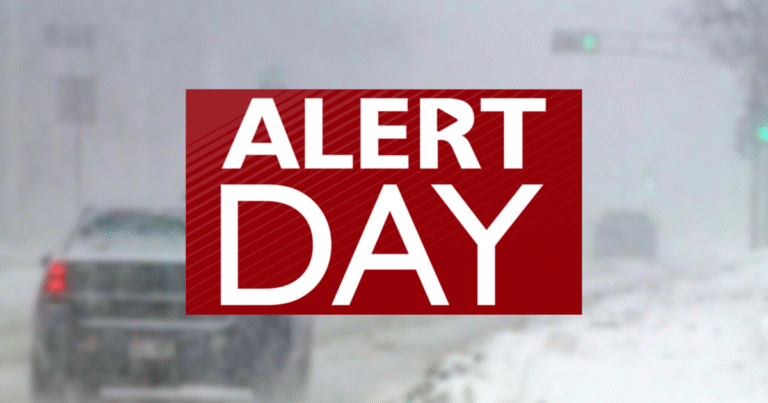 69260e87ea73c.preview