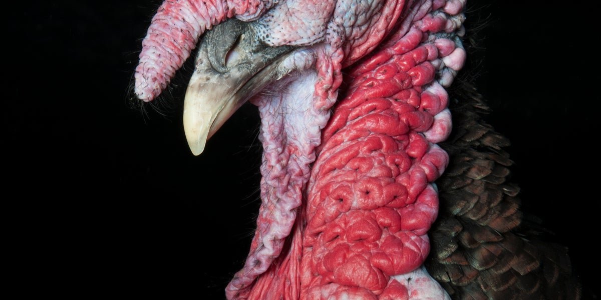 8ee5aa7c08abaecbe8834b5b8c92bc79