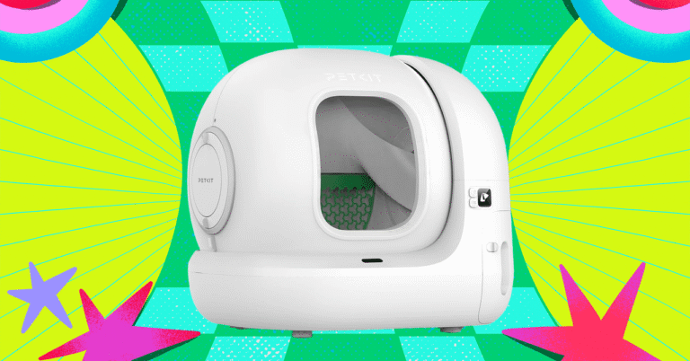 BF20Our20Favorite20Automatic20Litter20Box20for20Most20People20Is20on20Sale