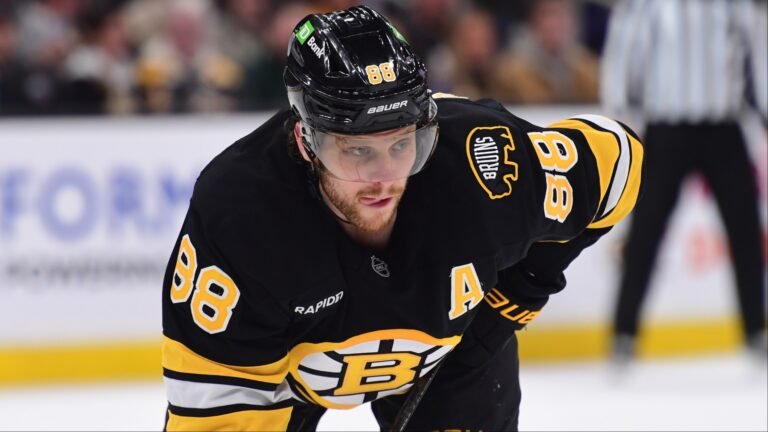 David Pastrnak