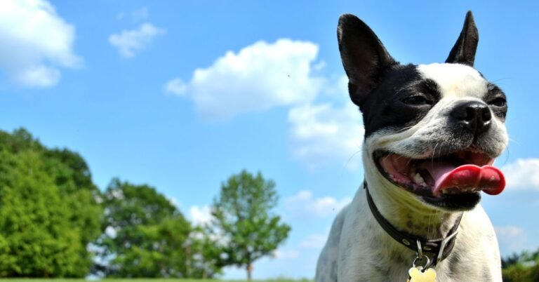 GettyImages 150192884