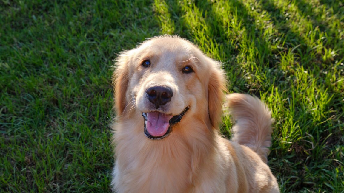 GettyImages 1736110926