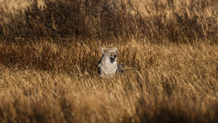 GettyImages 2178457506 1152x648