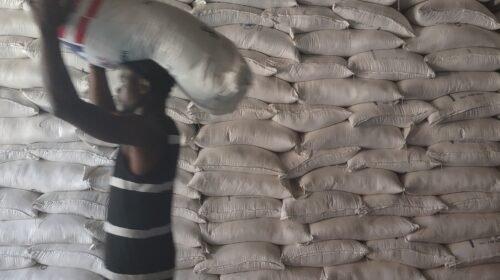 IMG 20250320 152636307 1762915451