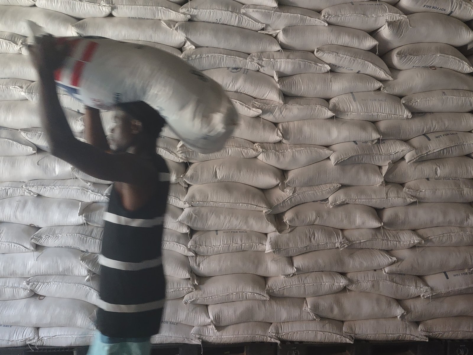 IMG 20250320 152636307 1762915451