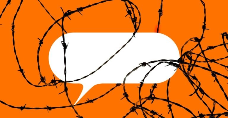 STKS519 FREE SPEECH CVIRGINIA D