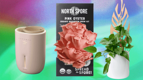 The201720Best20Gifts20for20Plant20Lovers