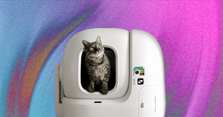 The20Best20Automatic20Cat20Litter20Boxes