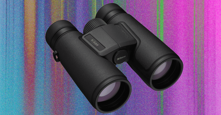 The20Best20Binoculars20to20Zoom20In20on20Real20Life
