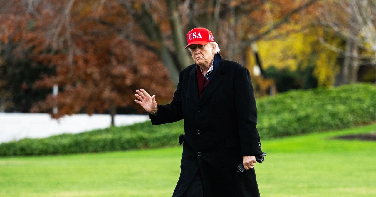 Trump Boosting MAGA Accounts Overseas Politics 2247393888