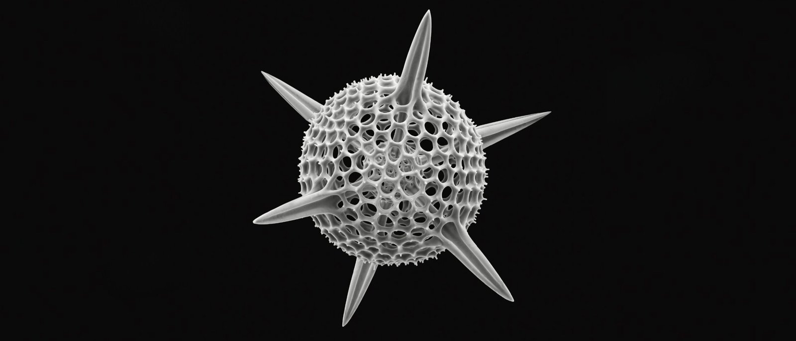 Untitled design 2 scaled