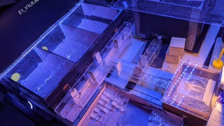 apparatus used in the experiment