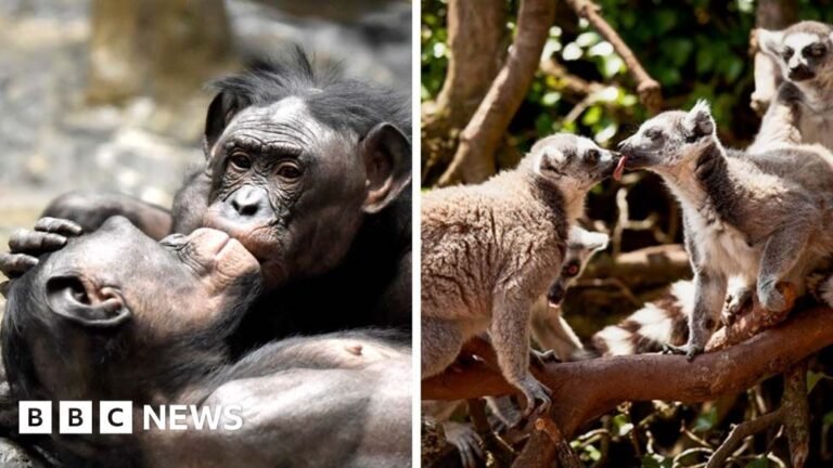 be24eba0 c533 11f0 b288 51552c83ad58