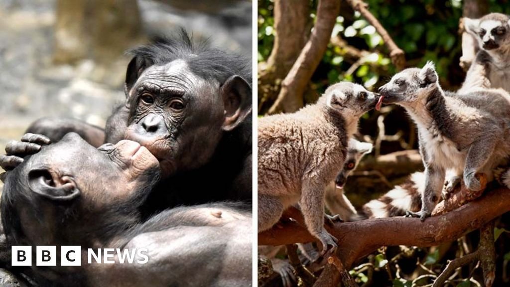 be24eba0 c533 11f0 b288 51552c83ad58