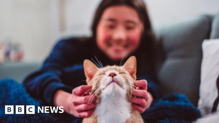 c8bb1440 ca0b 11f0 86af 23a21b51892f