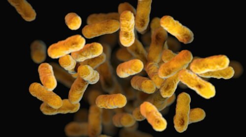 cdc Omo QaQChIM unsplash crop