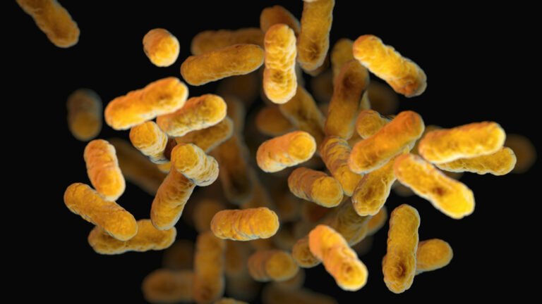 cdc Omo QaQChIM unsplash crop