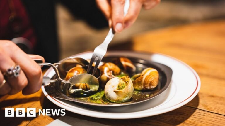 ebd595a0 cdc5 11f0 a892 01d657345866