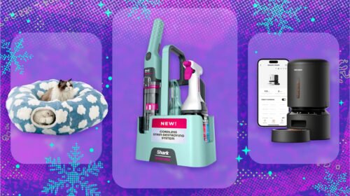 hero image.fill .size 1200x675.v1763048527