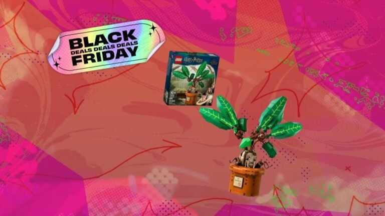 hero image.fill .size 1200x675.v1763544506