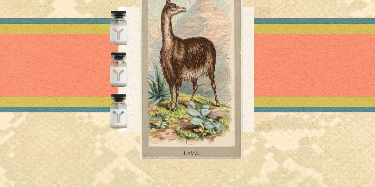 https3A2F2Fsubstack post media.s3.amazonaws.com2Fpublic2Fimages2F1383f47b 36fc 4e65 97e1 1fa1c