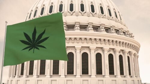 shutterstock 20379618591 1440x960