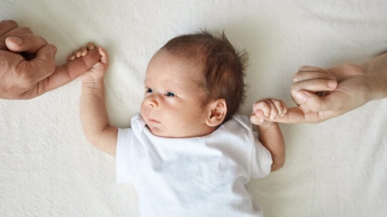 shutterstock 2475571229 1200x675