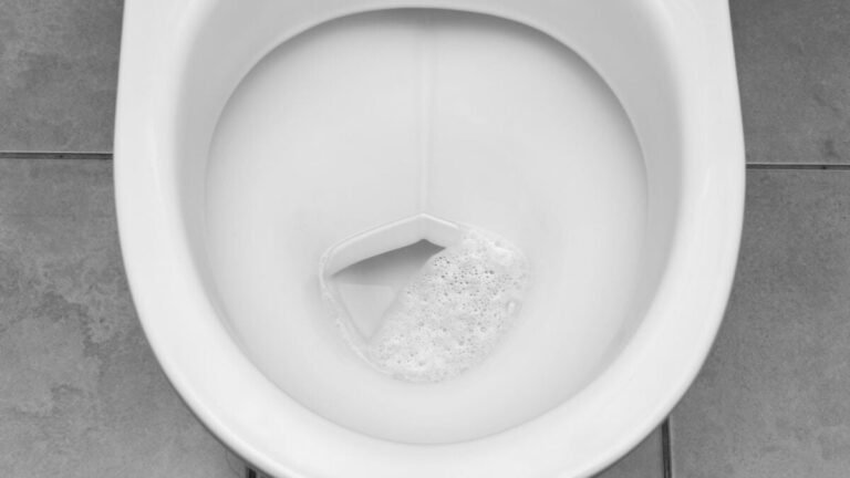toilet 1200x675