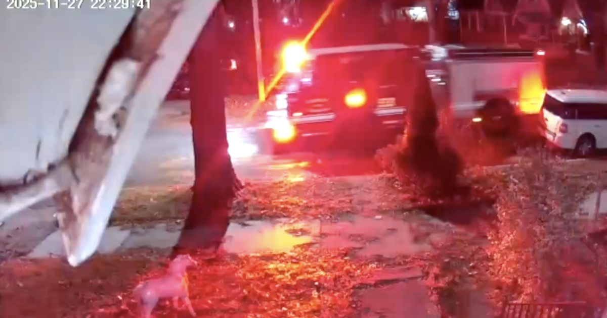 urlhttp3A2F2Fewscripps brightspot.s3.amazonaws.com2Fd32F4b2F82913f5b46a9afd9e7aaab332ebf2Fs