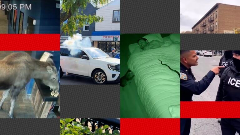 urlhttp3A2F2Fnpr brightspot.s3.amazonaws.com2F262Fd82F8d07ff7448408f48b63e5fb1bd4b2Fai vide