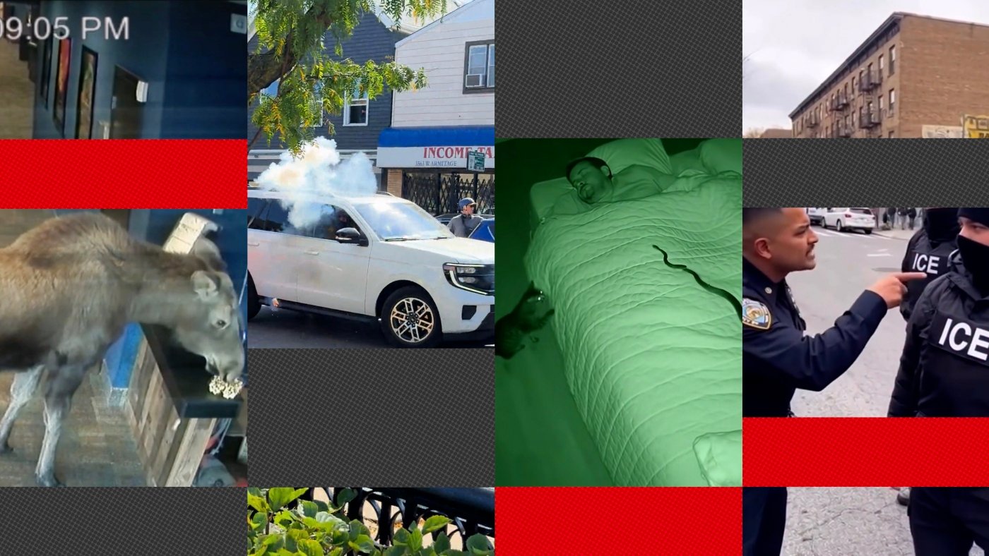 urlhttp3A2F2Fnpr brightspot.s3.amazonaws.com2F262Fd82F8d07ff7448408f48b63e5fb1bd4b2Fai vide