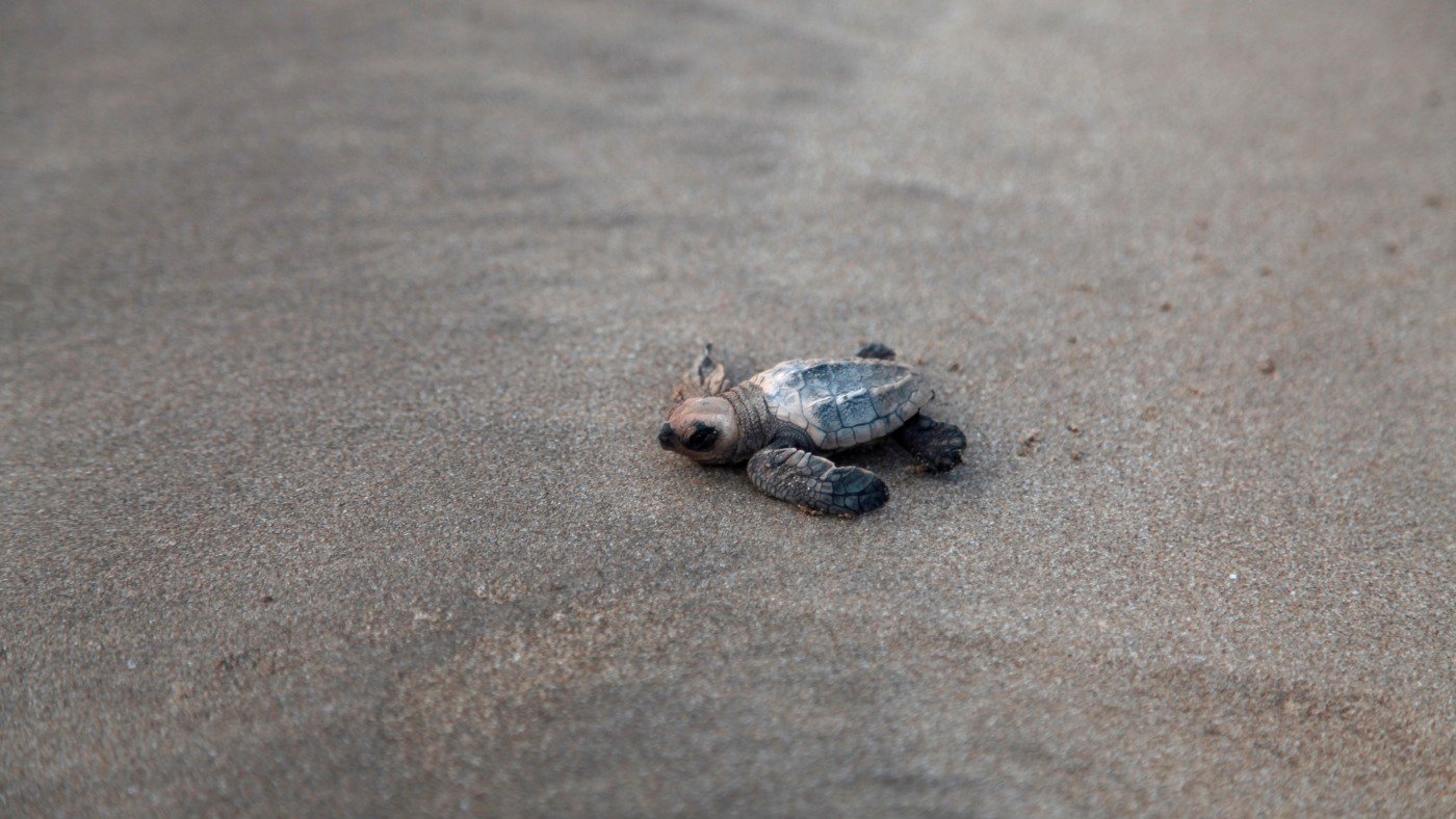 urlhttp3A2F2Fnpr brightspot.s3.amazonaws.com2F2a2Fd52F9e55388e4eaaa19f44f71f6185192Fmg 7745