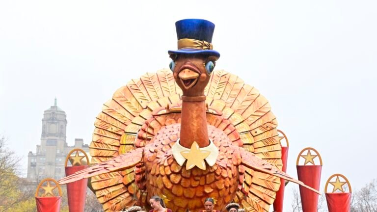 urlhttp3A2F2Fnpr brightspot.s3.amazonaws.com2Fbb2F5c2F5c8b473d4d1389ddb2be35246f422Fgettyim