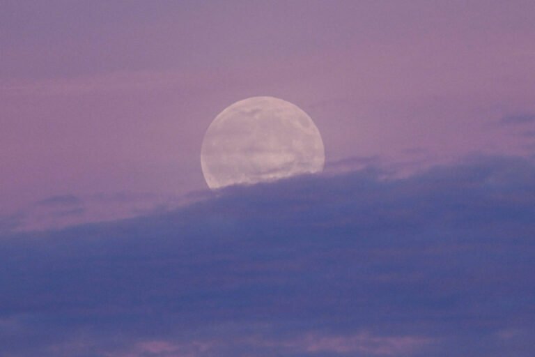 2025 11 05T163926Z 918465728 RC2FQHAMLB3U RTRMADP 3 SUPERMOON GERMANY 1024x683