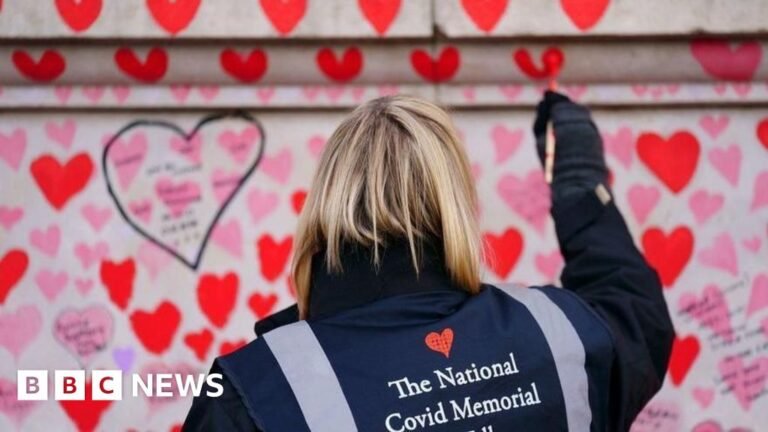 23b918b0 cfa2 11f0 9fb5 5f3a3703a365