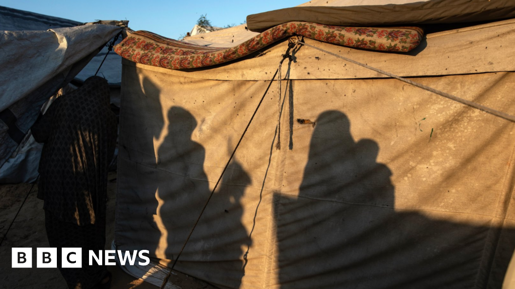 66641f80 cf01 11f0 bdb0 ab4ab31f90fa