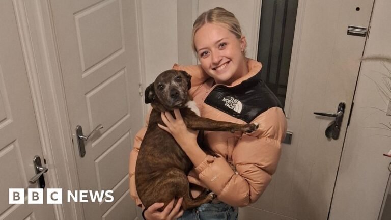 a0a8c960 cf43 11f0 8564 7b16d0b8c391