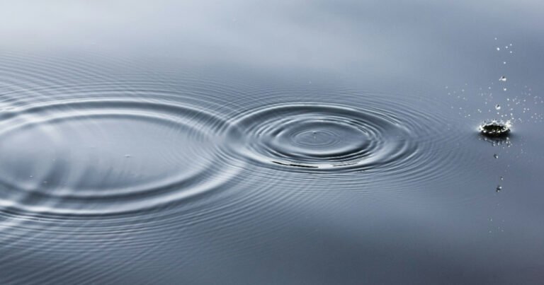 generatedHeaderImage 1763745101477