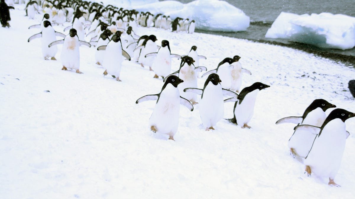 gettyimages 140396190