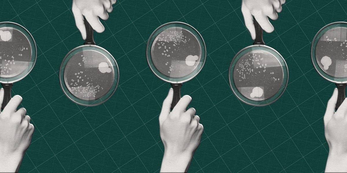 https3A2F2Fsubstack post media.s3.amazonaws.com2Fpublic2Fimages2F2cbe88dc b1f1 40e2 91a1 9f7f7