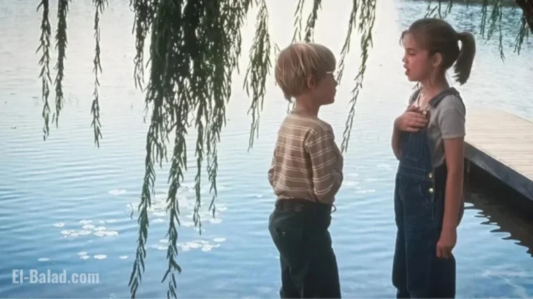 image 1200x675 692cf397c1456.webp