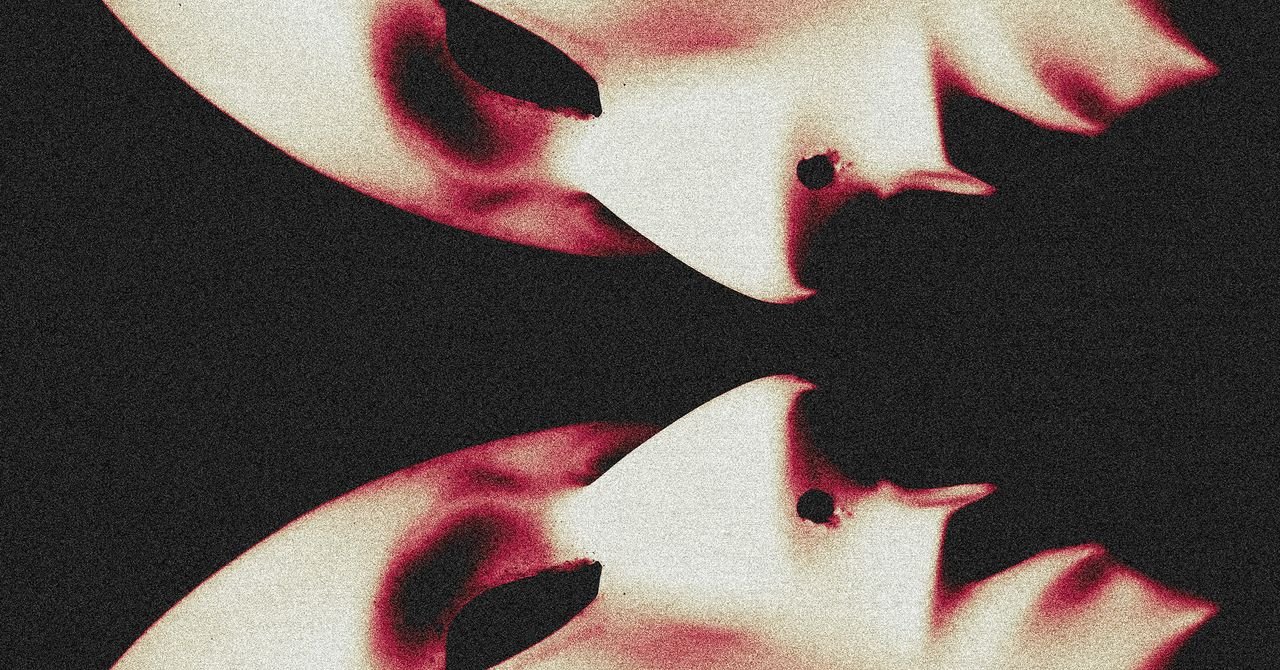 sec ai faceswap app 1382901144