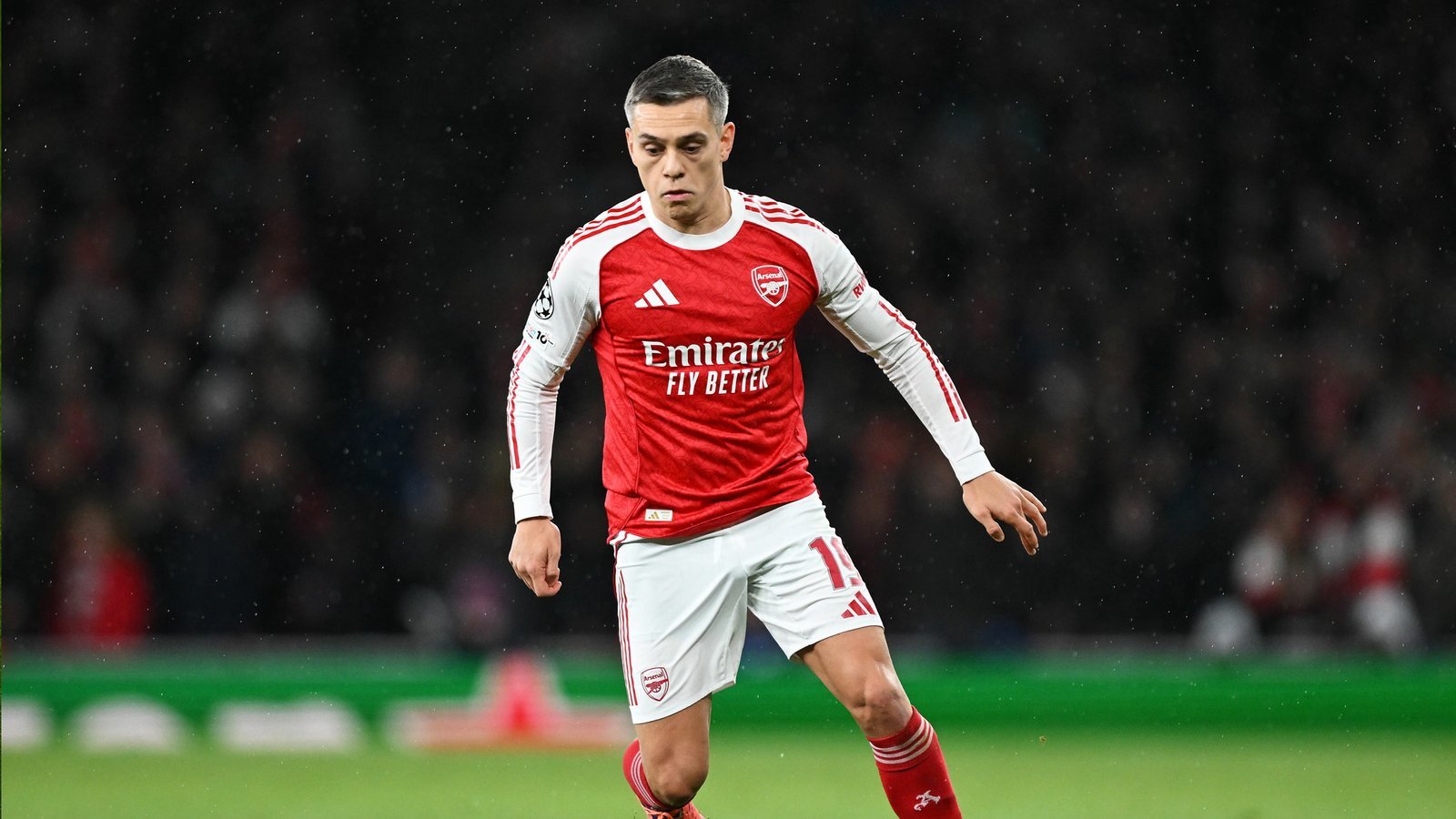 trossard injury uodate tafk3m8p